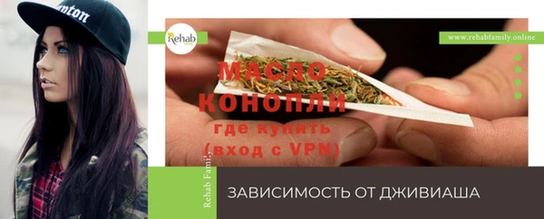 молекула духа Новодвинск