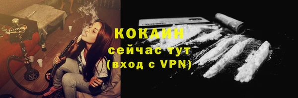 молекула духа Новодвинск
