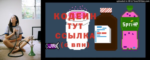 молекула духа Новодвинск