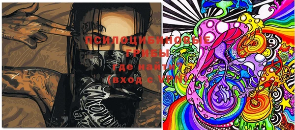 героин Няндома