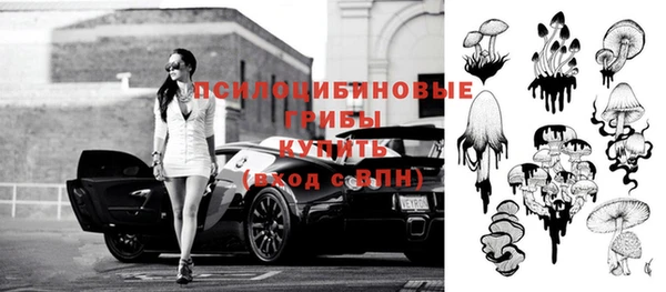 каннабис Новозыбков