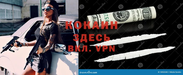 молекула духа Новодвинск